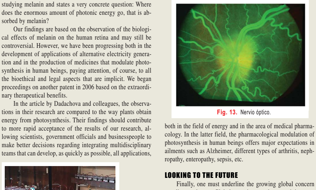  Understanding the Science: Are Mosquitoes Attracted to Light or Dark Clothing?